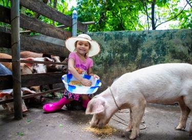 Give a pig to a family in poverty
