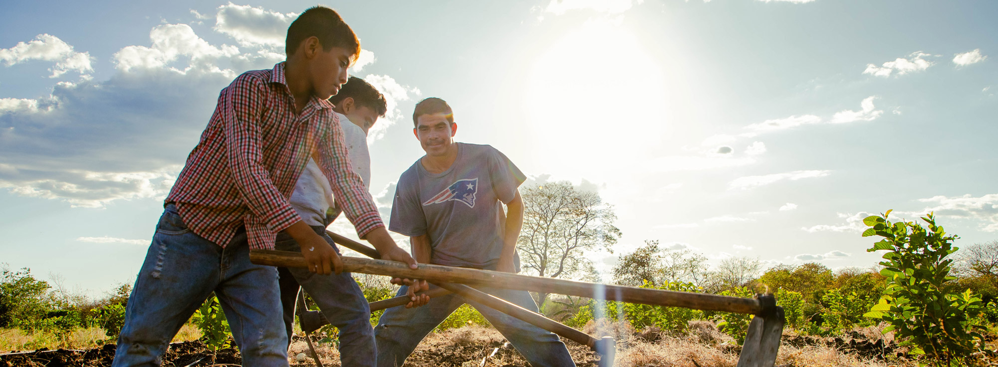 Three boys using tools in soil