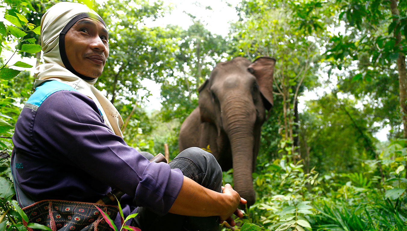 During the rainy season, the sole dirt road into Kotah becomes a muddy, impassable mess. The only way in or out is to ride an elephant or brave walking through the dense jungle. This villager cares for elephants and helps people who need rides.