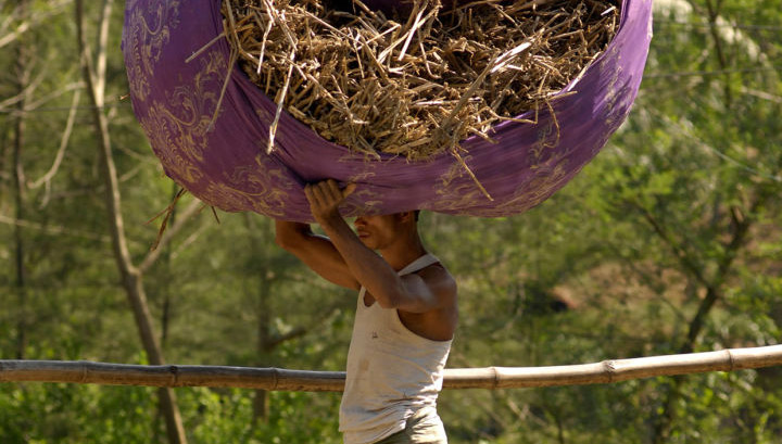 A farmer carrying his crop