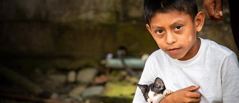 A boy holding a kitten