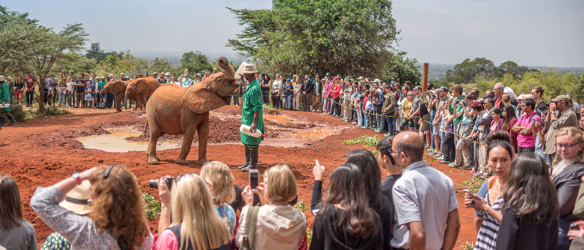 About 200 people a day visit the Sheldrick Wildlife Trust
