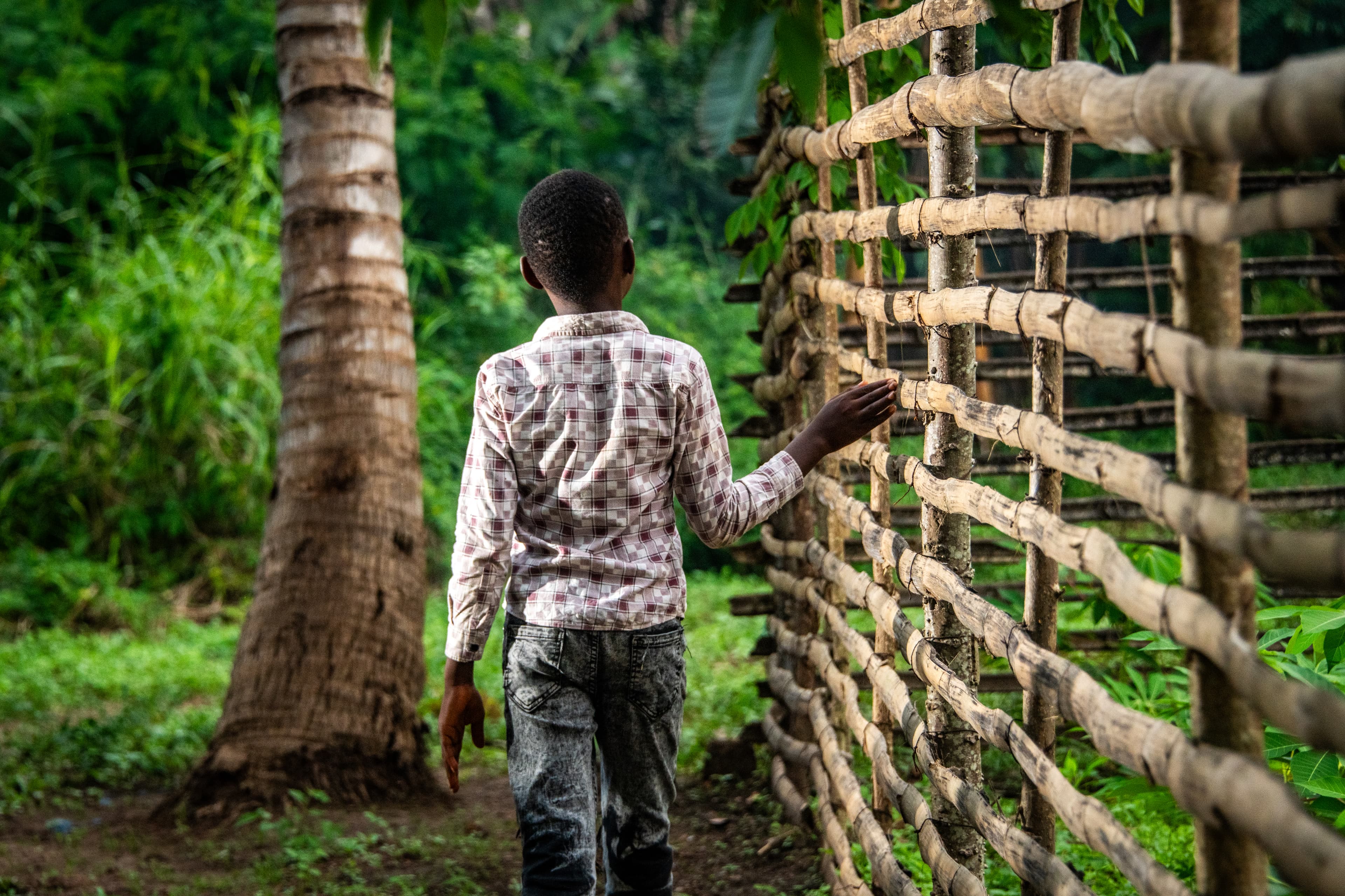 An African boy runs his hands along a wooden fence with his back to the camera.