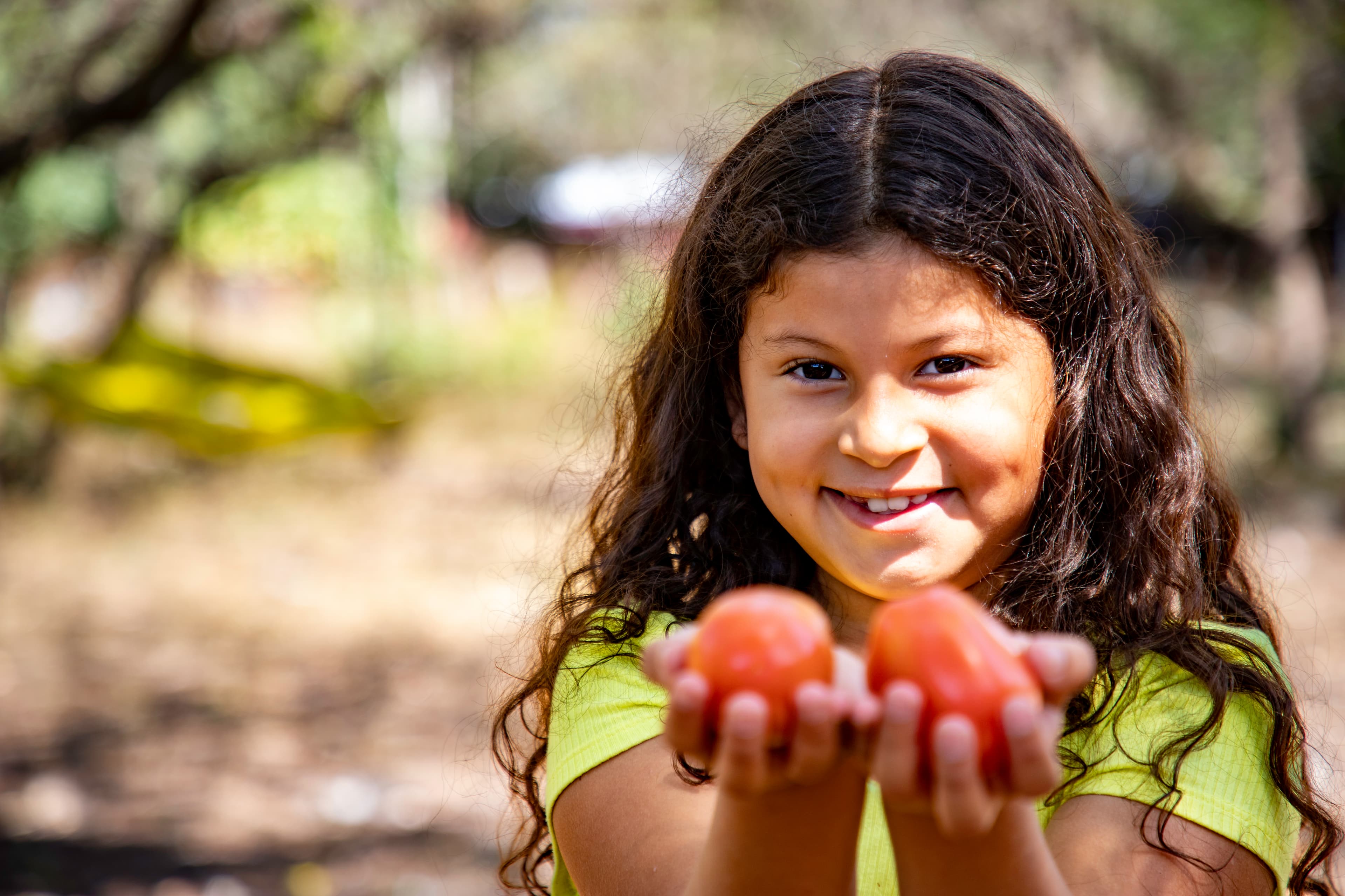 A young girl is holding tomatoes that she harvested in her backyard.