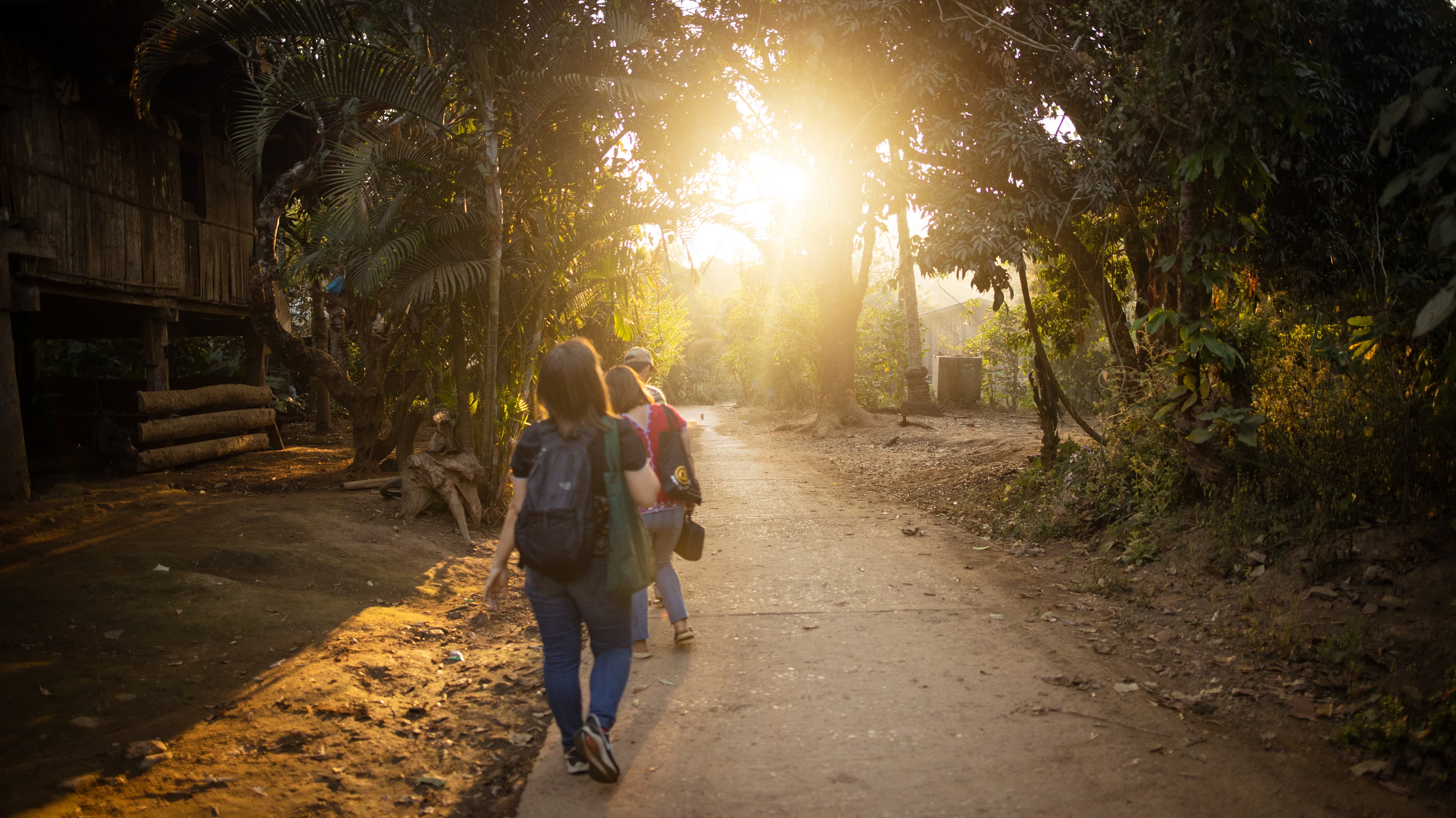 Student walks on bright sunny path