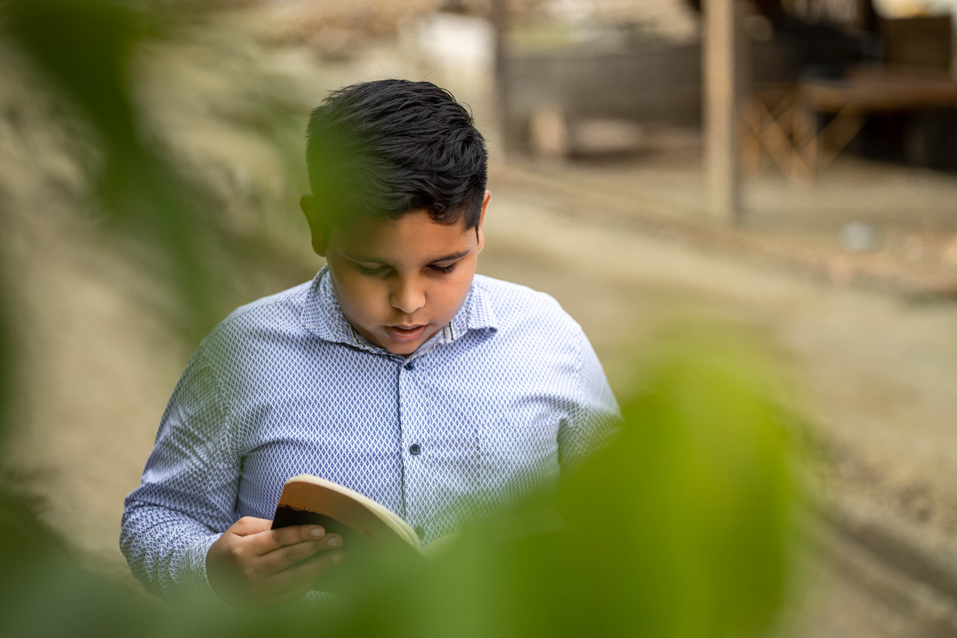 A young Ecuadorian boy holds a Bible and reads behind leaves.