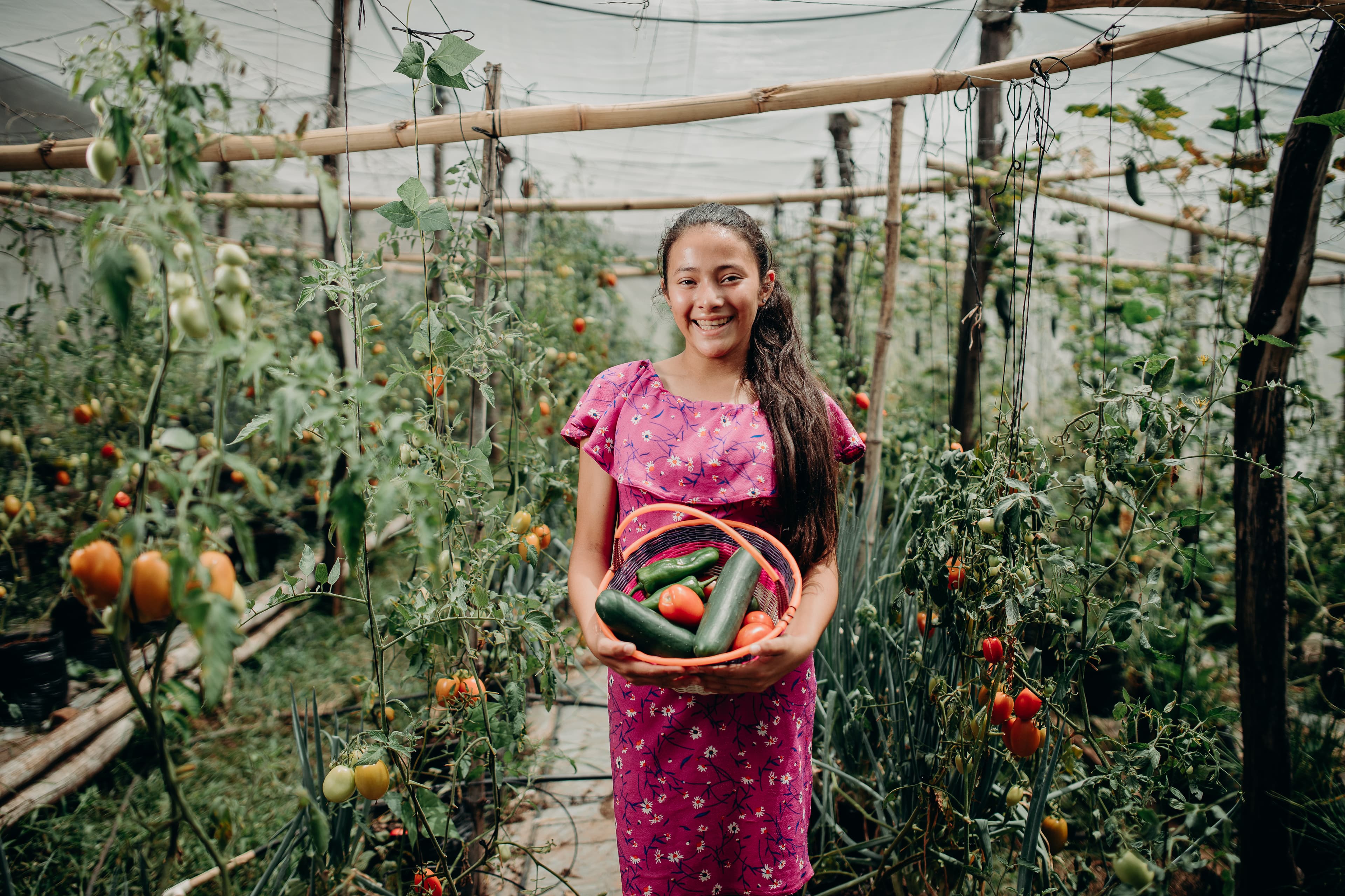 Young girl is standing in a vegetable garden holding a basket of cucumbers, peppers and tomatoes.
