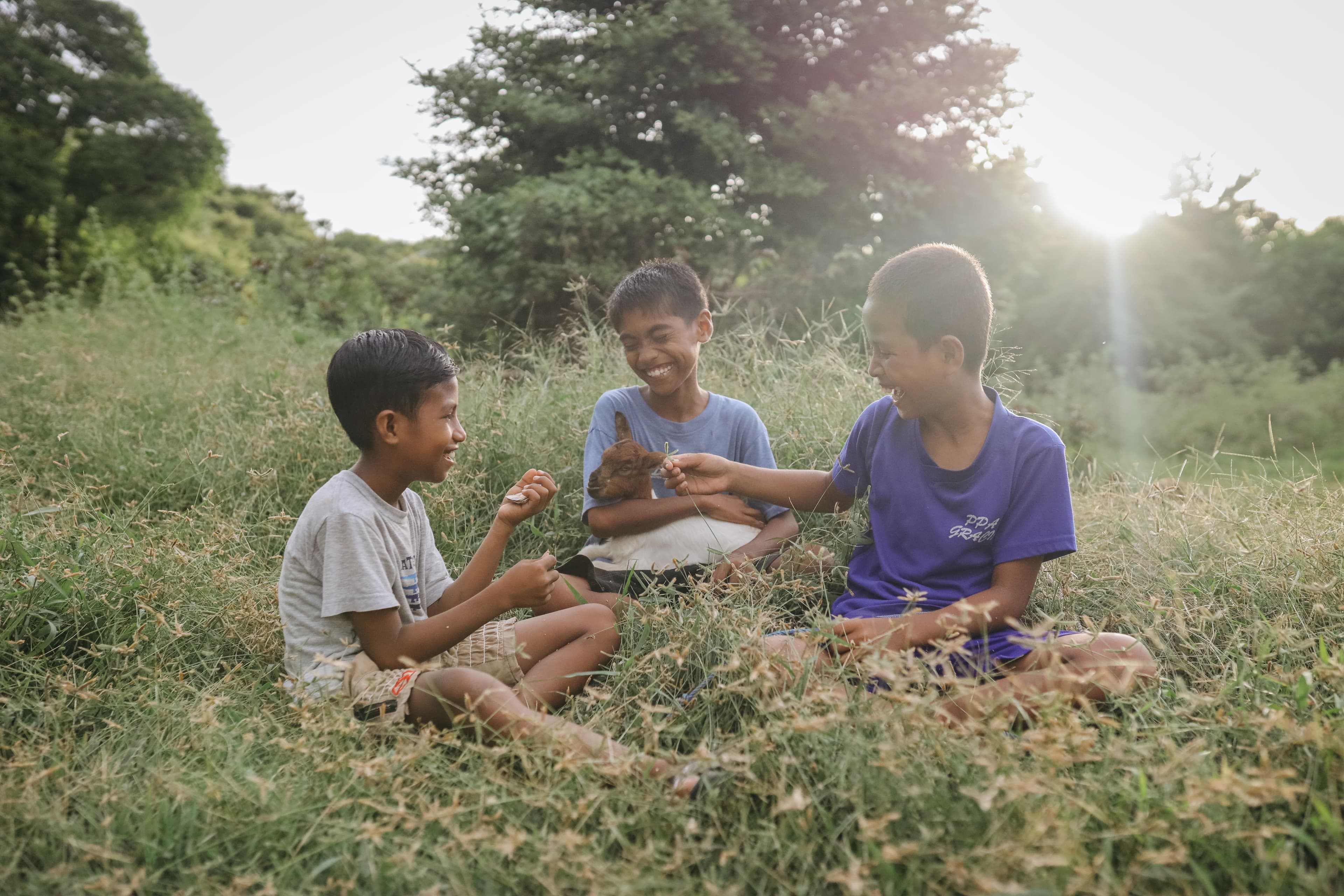 Three boys sit and laugh in the tall grass, with one in the middle holding a small, brown goat.