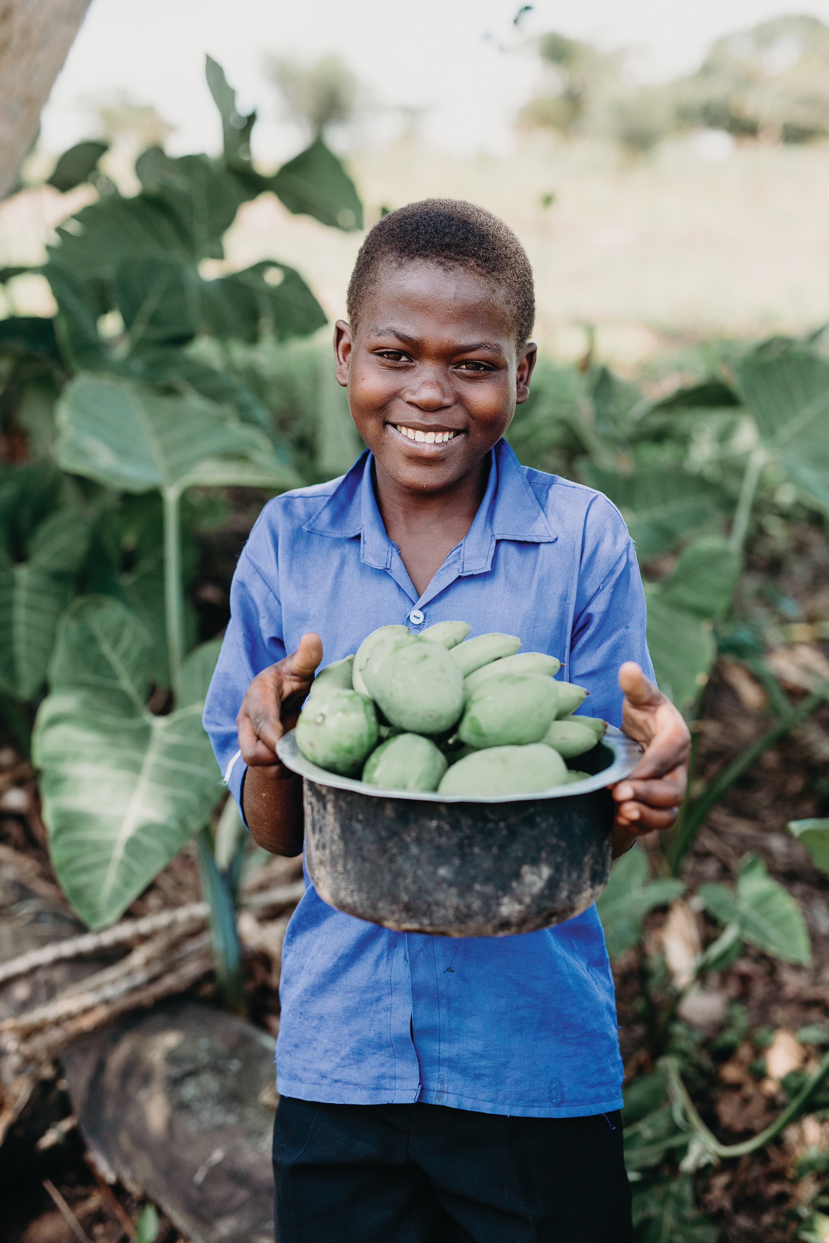 A person in a blue shirt holds a bowl full of green fruit, with plants in the background.