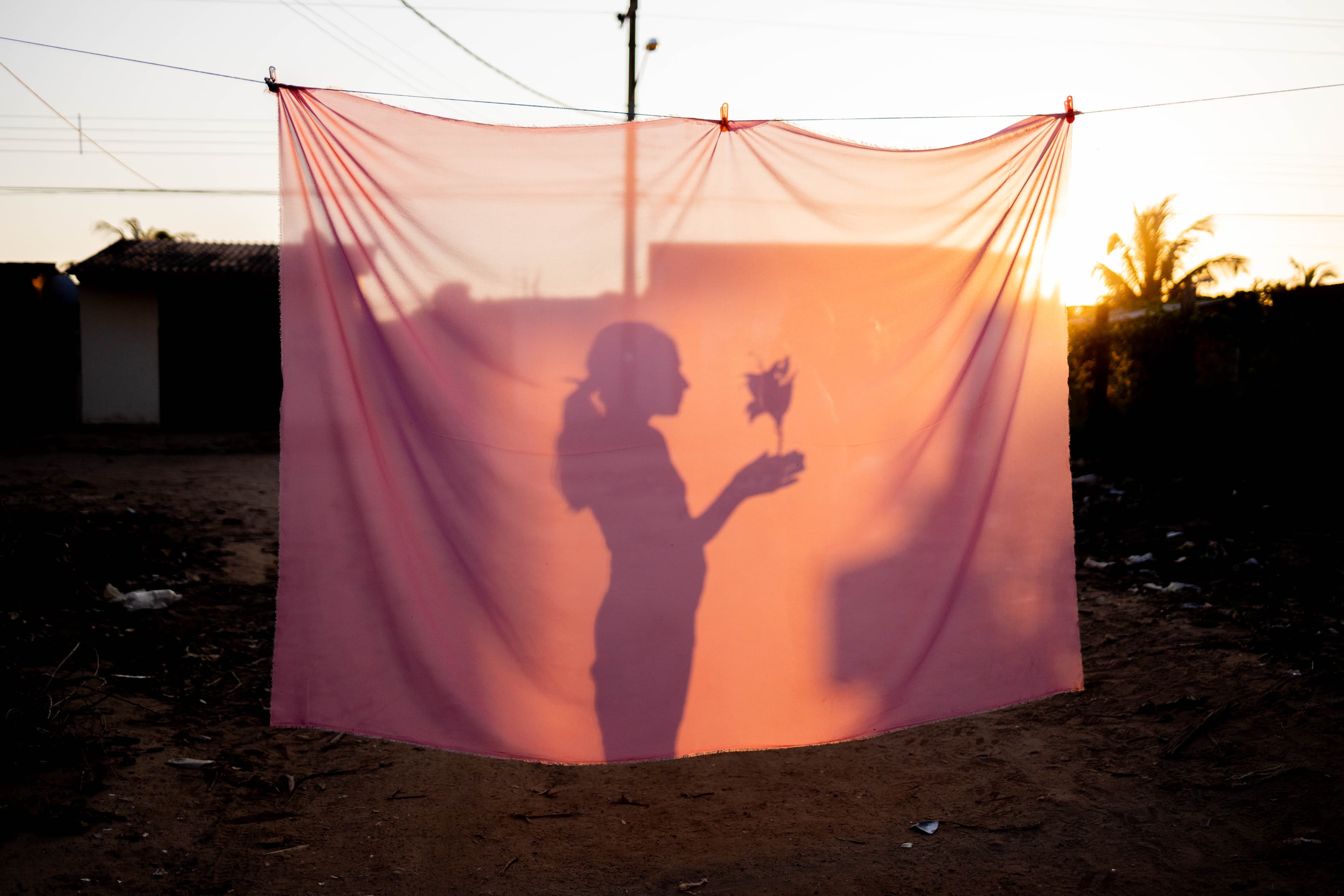 A silhouette of a girl holding a flower behind a pink sheet.