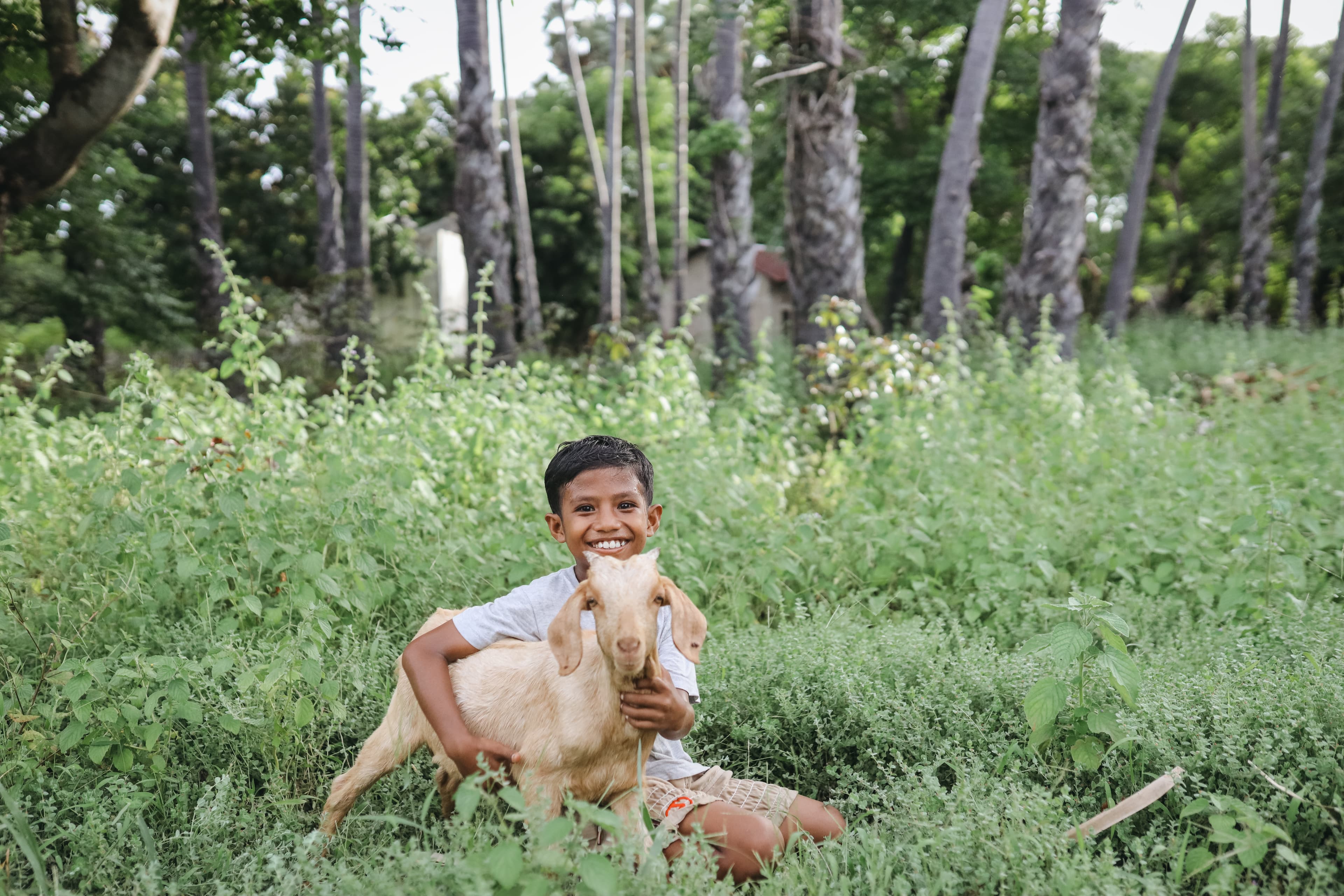 A smiling boy sits in a field of tall grass and plants, holding a brown goat, with trees behind him.