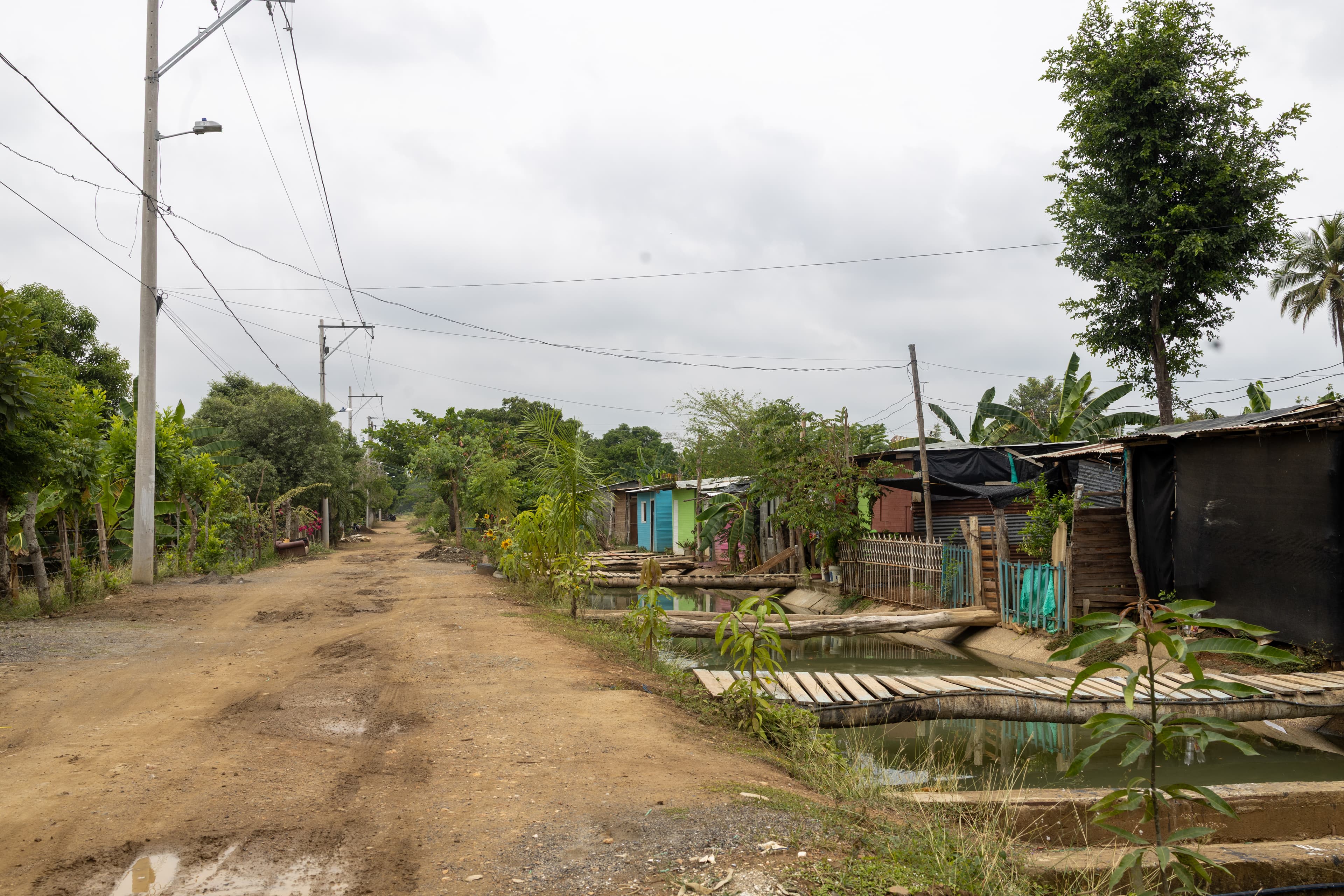 A dirt path with trees on one side and houses connected by bridges over a water channel.