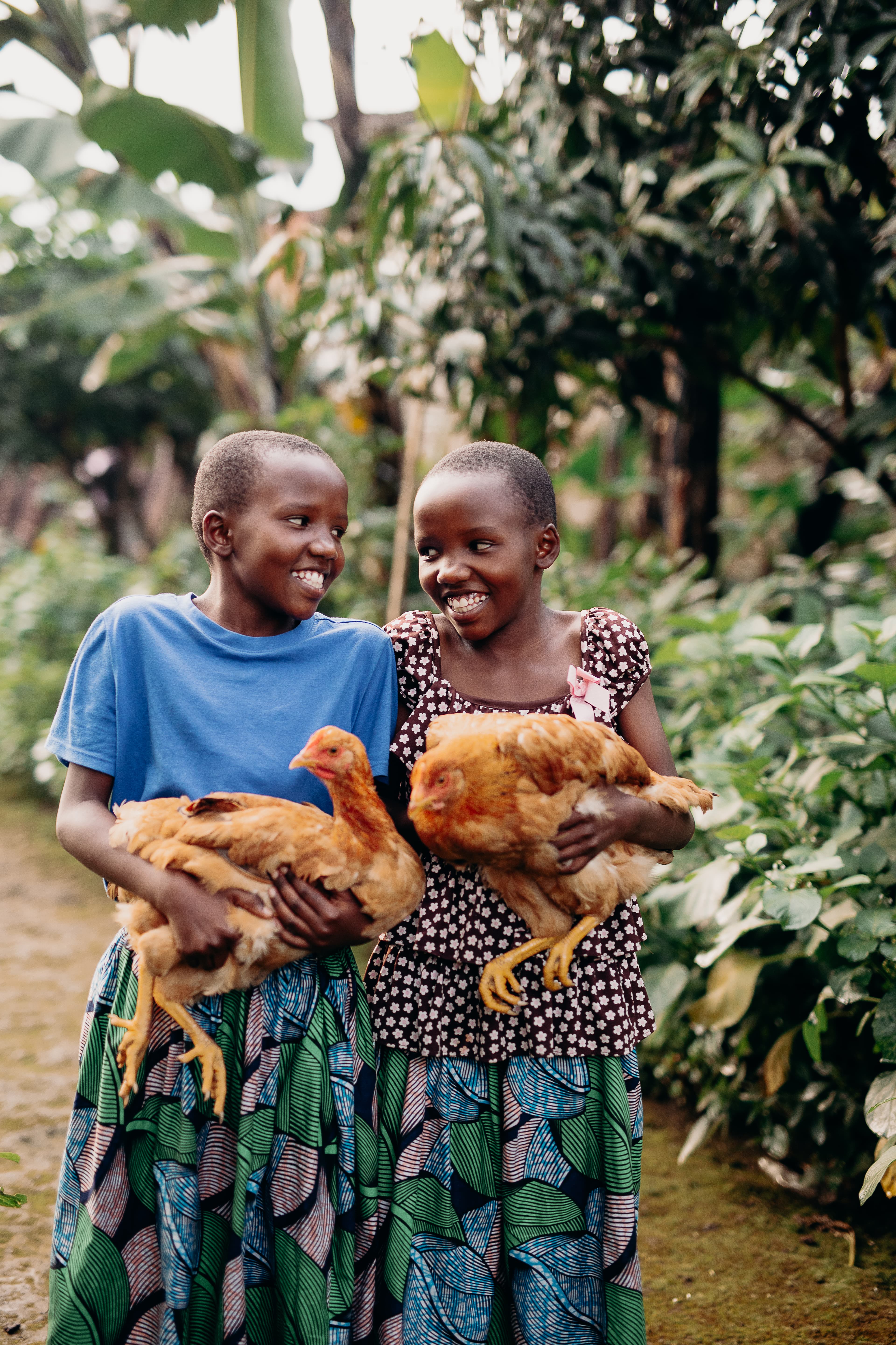 Two sisters are carrying hens on a walkway to their house.