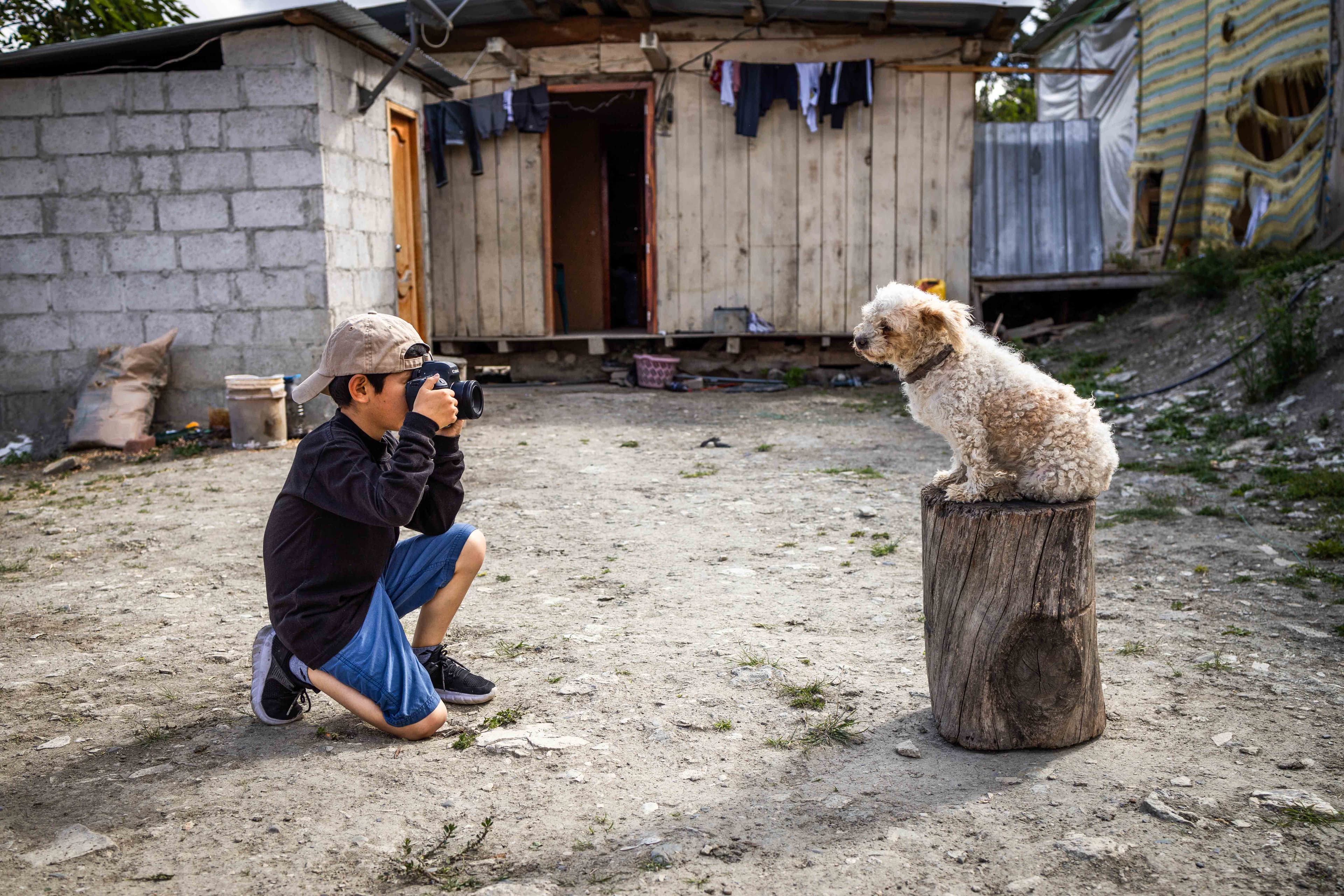 A young boy kneels on the ground while taking a photo of a dog on a tree stump.