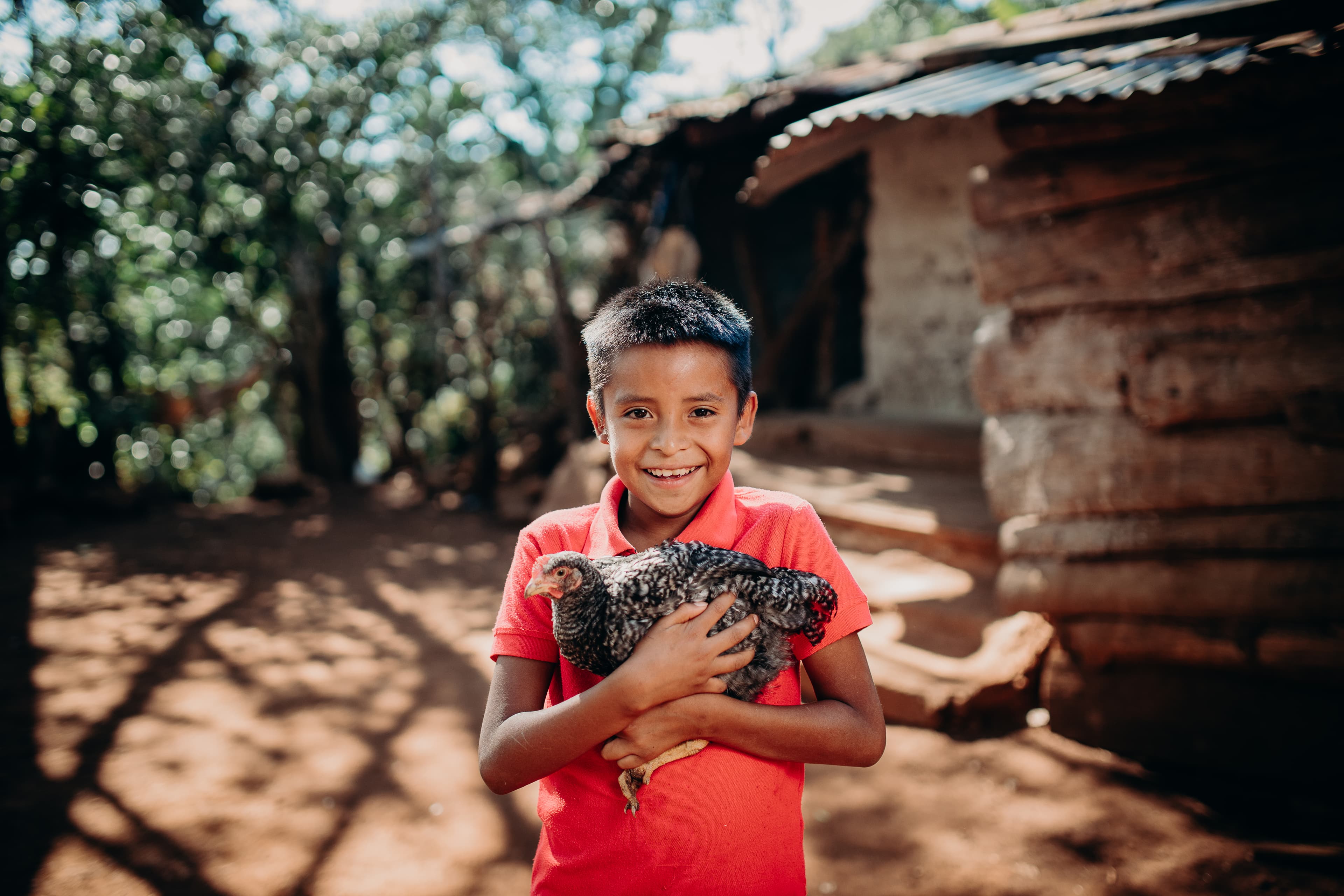A boy wearing a red shirt smiles at the camera while holding a chicken.