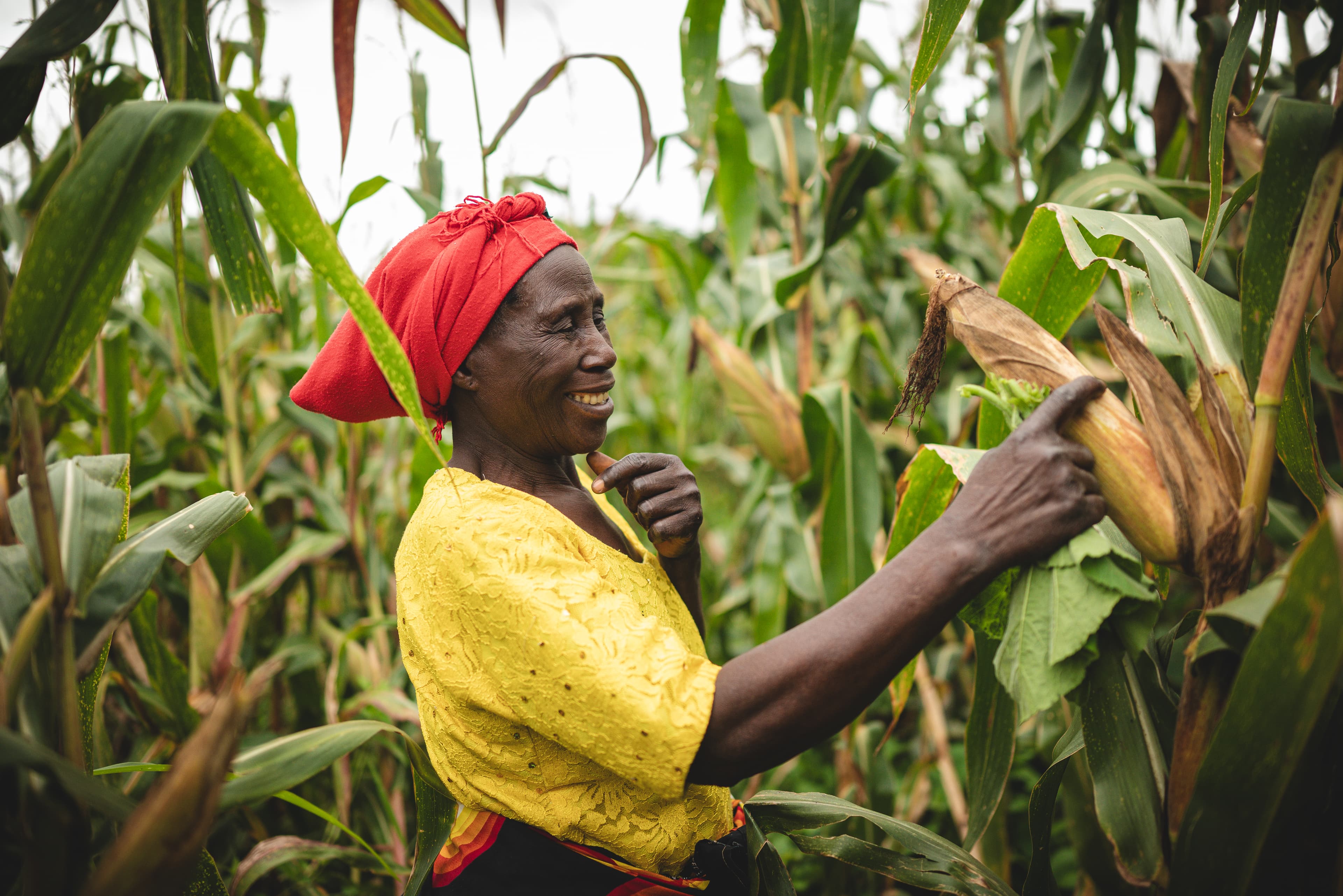 A woman is smiling as she admires a husk of corn she’s grown.