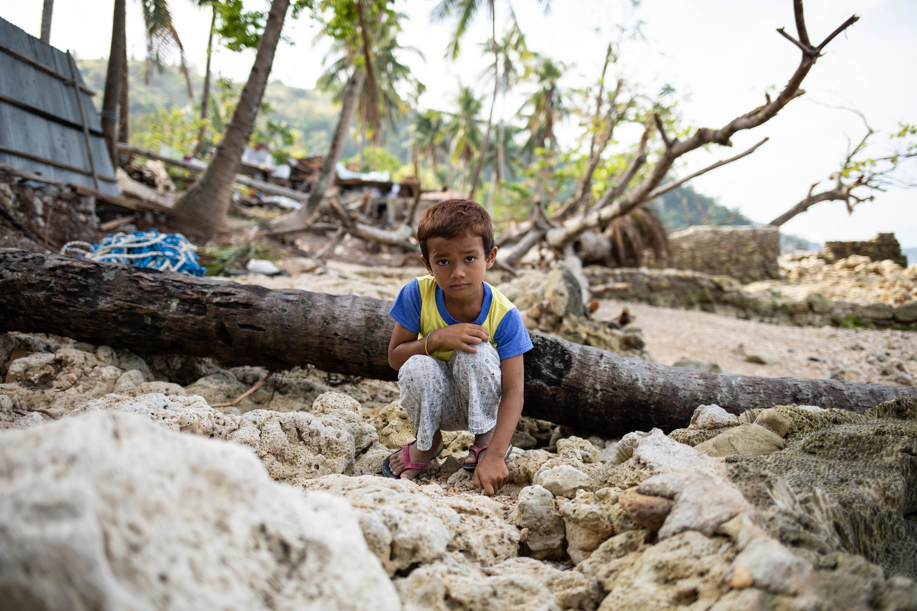 A boy is wearing a yellow shirt with blue sleeves and a blue collar. He is kneeling down in front of a fallen coconut tree.