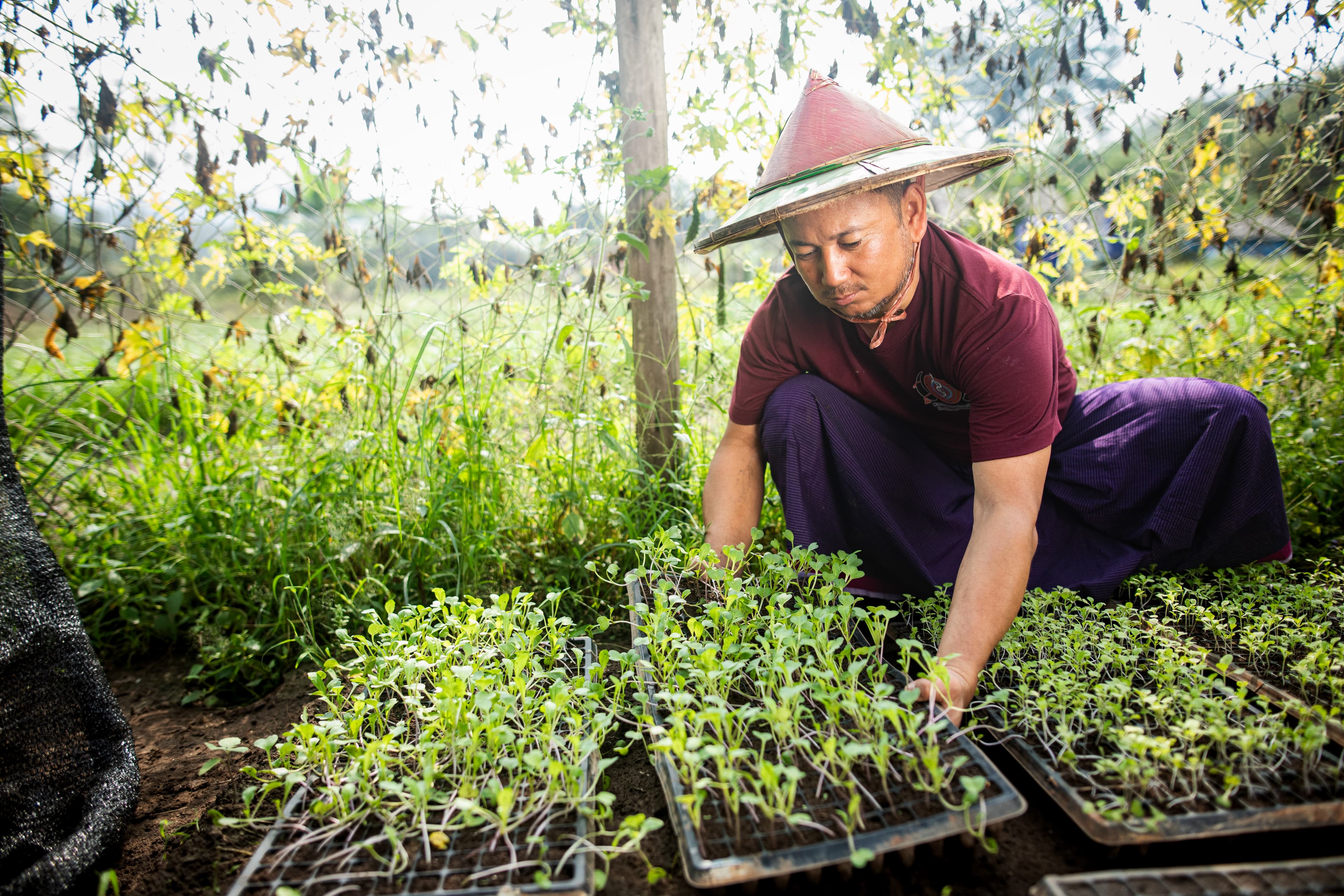 Man leans down at farm examining his seedlings at an agricultural learning hub supported by Compassion.