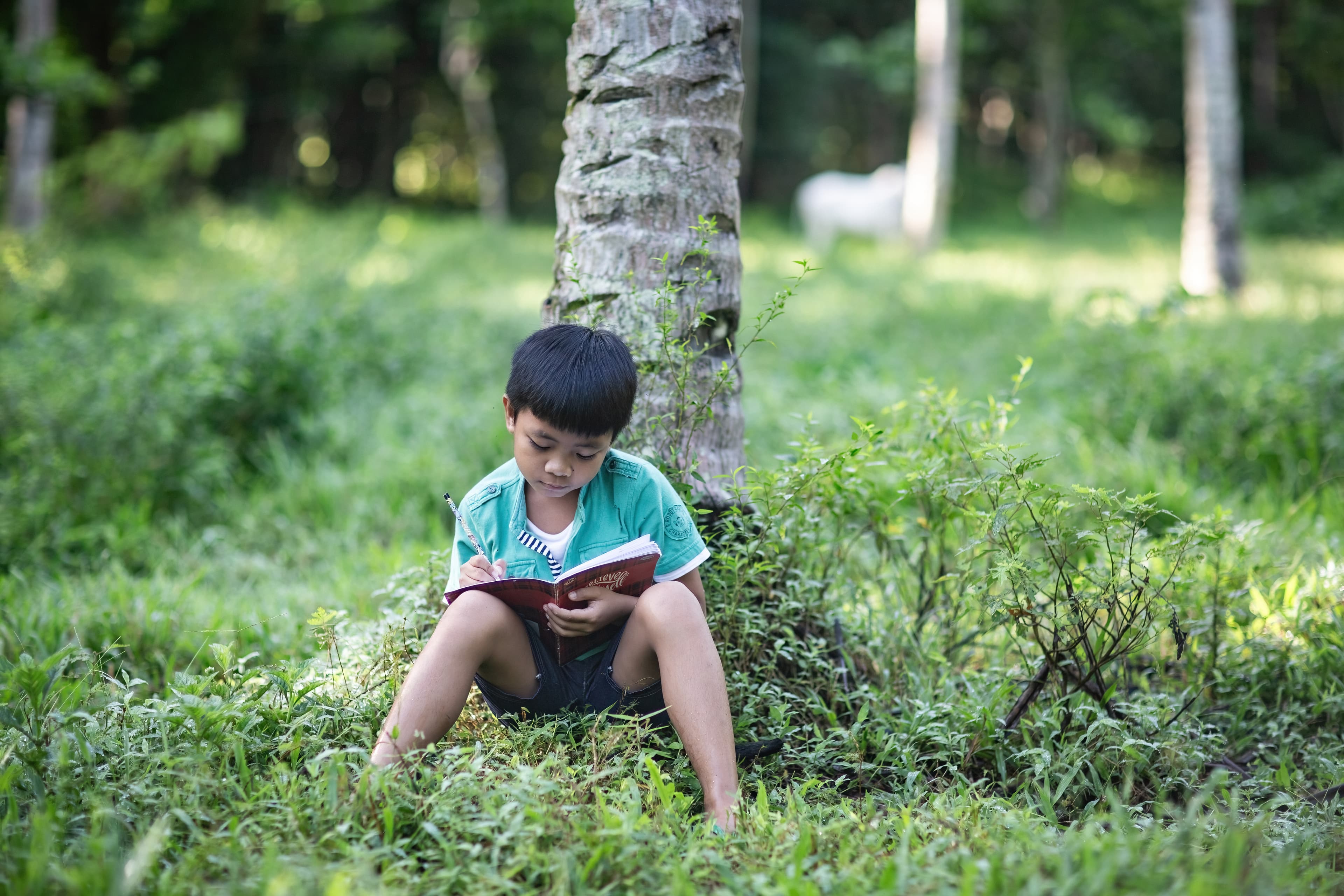 A young boy is sitting against a tree studying his bible.