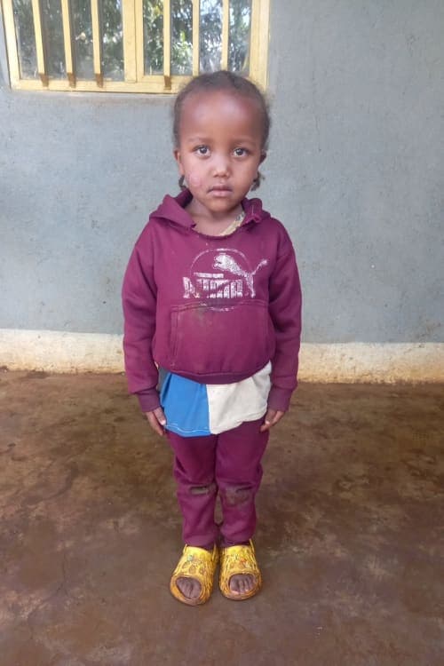 A picture of Obsinet