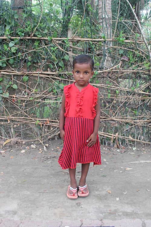 A picture of Poulome