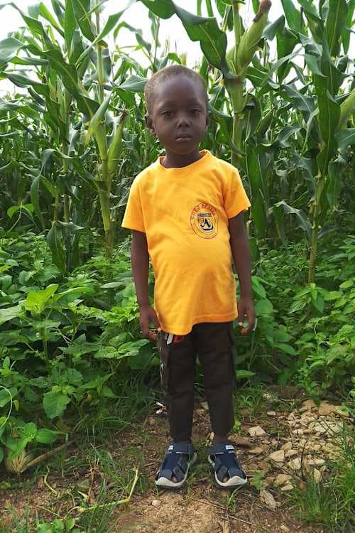 A picture of Parfait