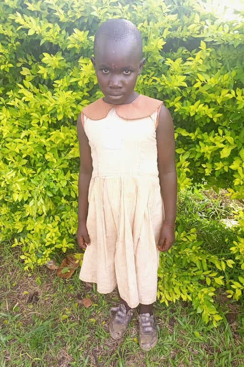 A picture of Mackline