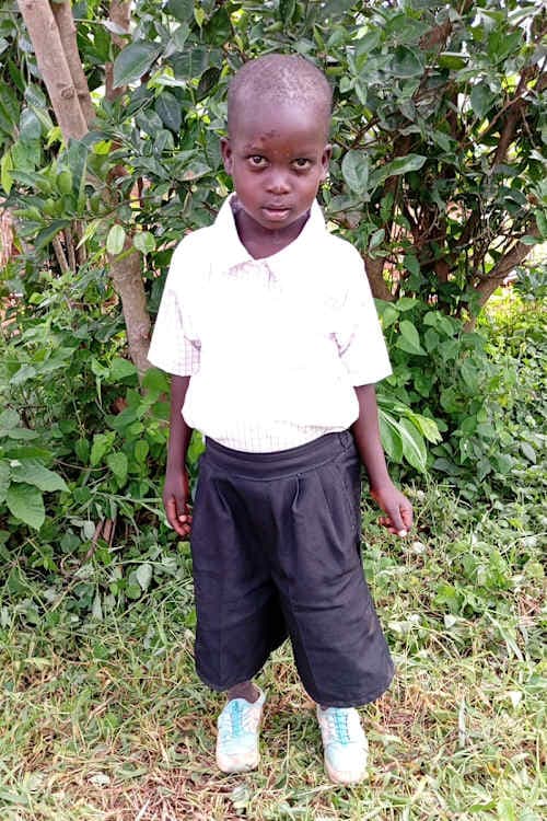 A picture of Abutwahil