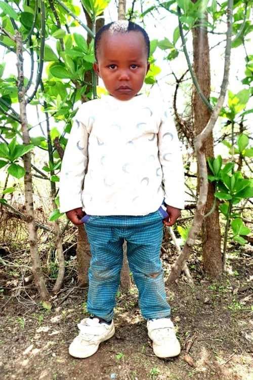 A picture of Elisante