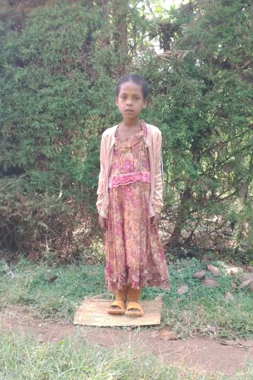 A picture of Mignote