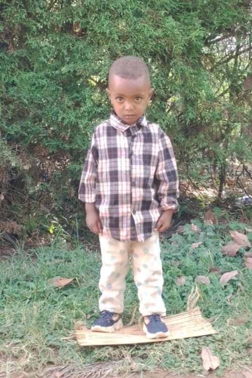 A picture of Pawulos