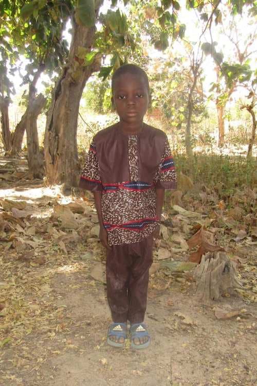 A picture of Ferdinand