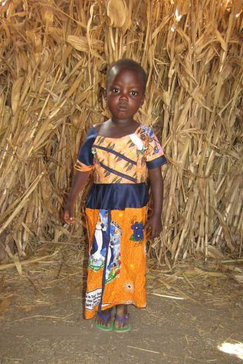 A picture of Pengdwende