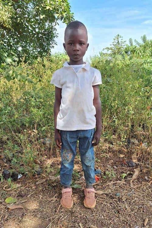 A picture of Essodolom