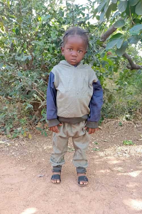 A picture of Felecite