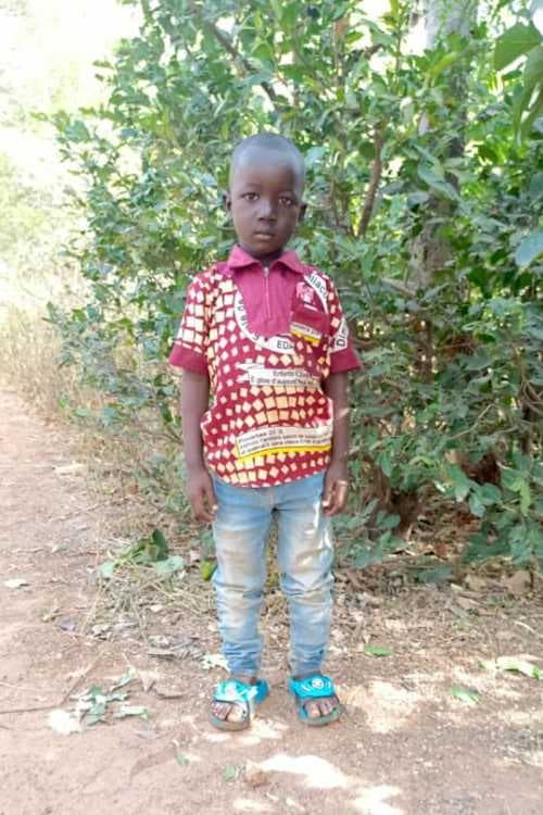 A picture of Amassia