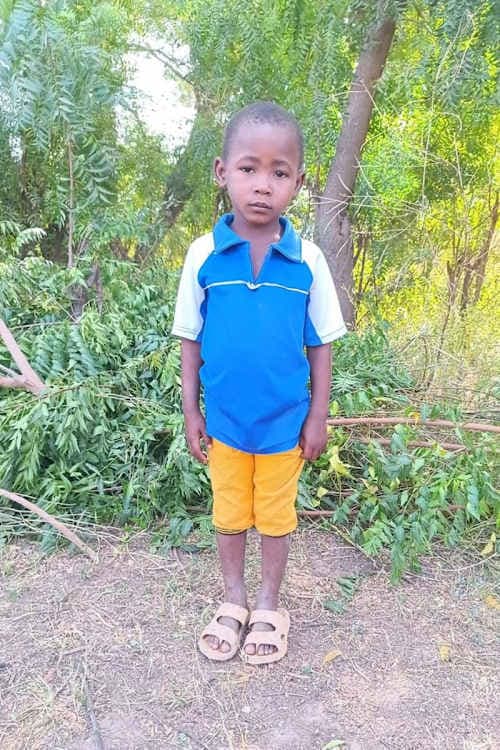 A picture of Nikiemi