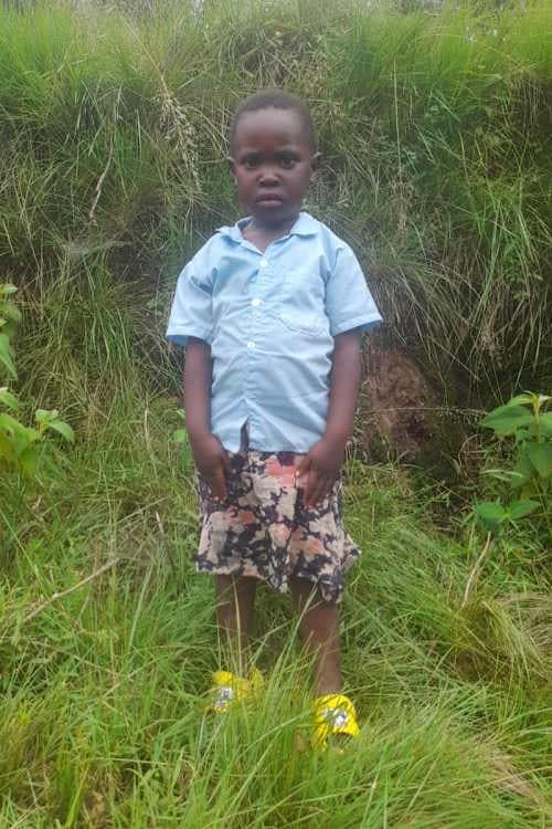 A picture of Hornella