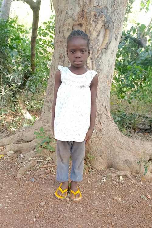 A picture of Barkissa