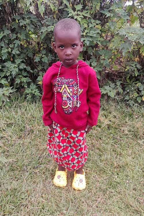 A picture of Kamikazi