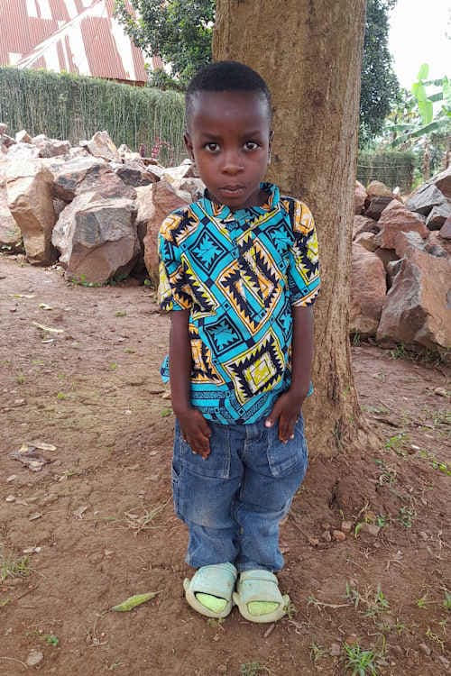 A picture of Revique