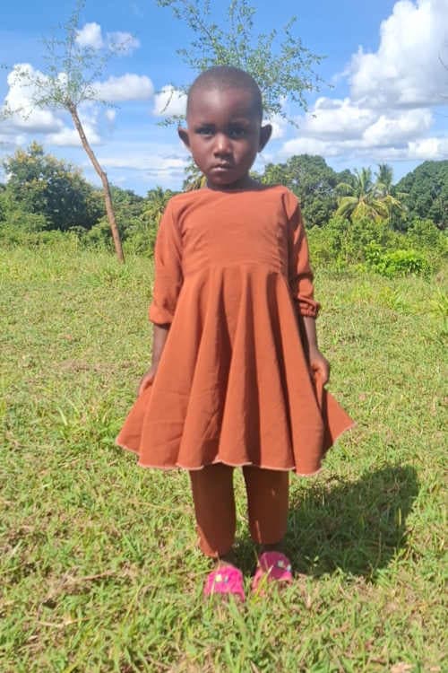 A picture of Testmon