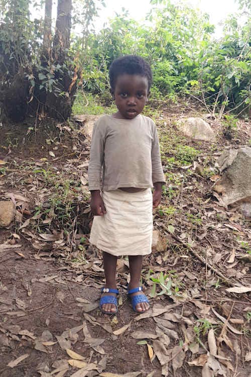 A picture of Parfaite