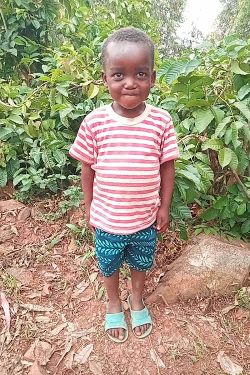 A picture of Theophile