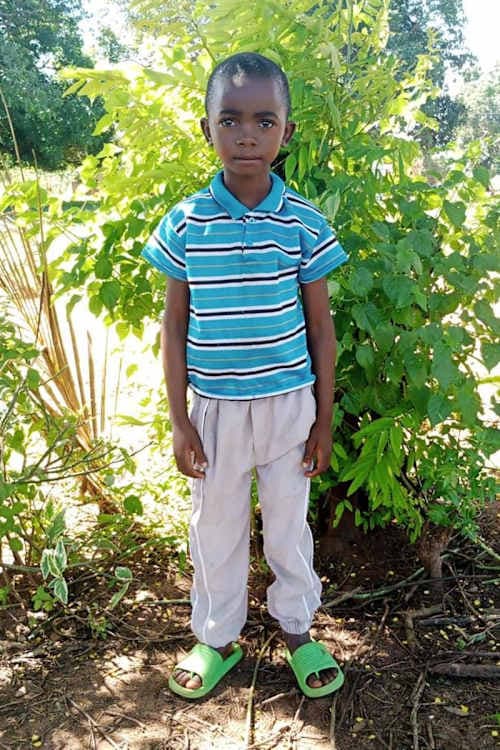 A picture of Mucksini