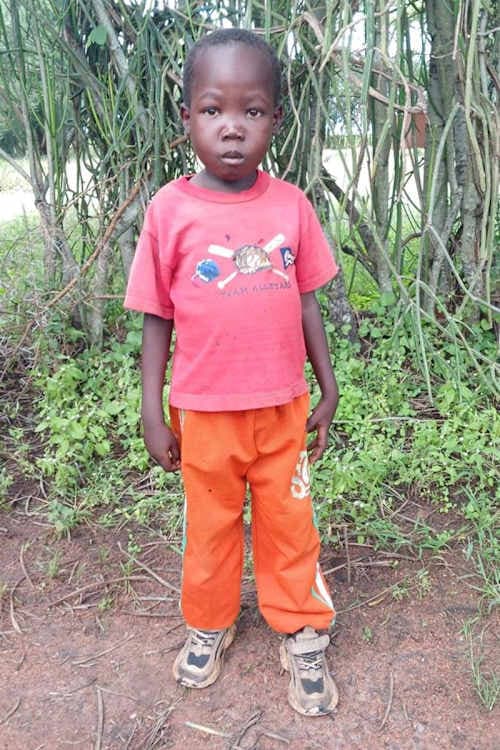 A picture of Zenzele