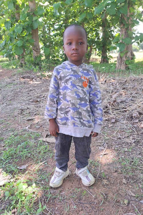 A picture of Fedelis