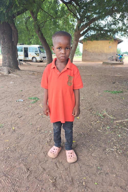 A picture of Kingsley