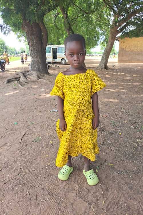 A picture of Nikpaidoon