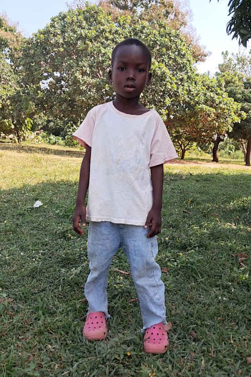 A picture of Mukajor